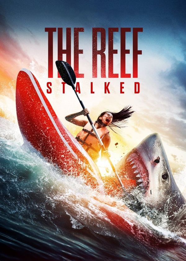 Đá Ngầm: Kẻ Theo Dõi