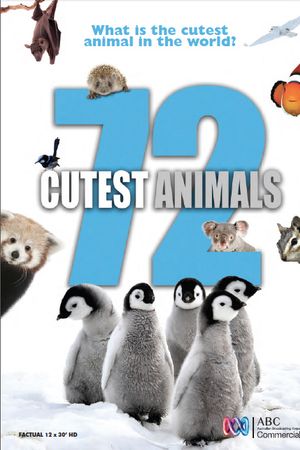 72 loài động vật dễ thương nhất