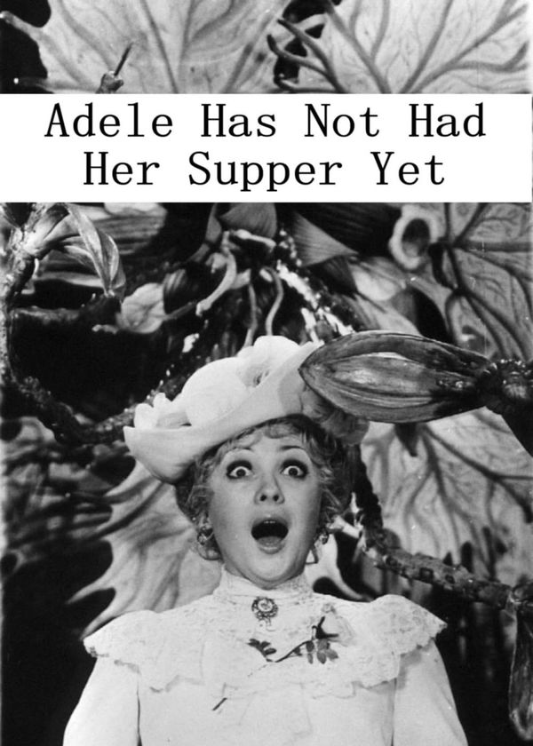 Adele Hasn't Had Her Dinner Yet