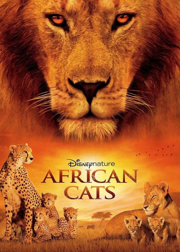 African Cats