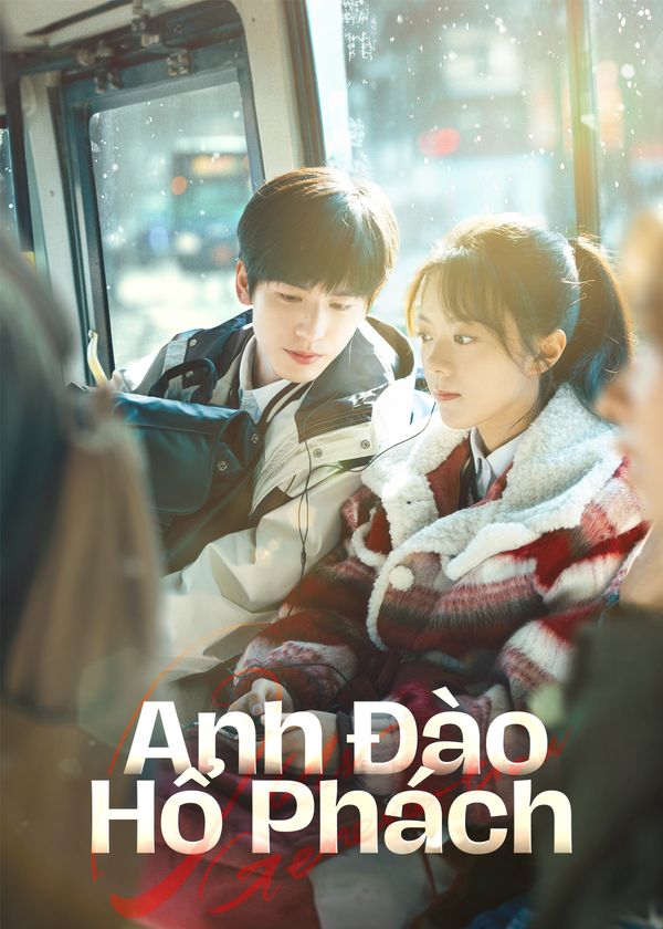 Anh Đào Hổ Phách