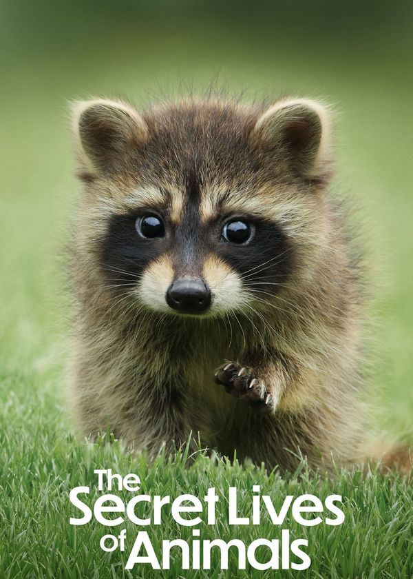 Bí Ẩn Về Thế Giới Động Vật