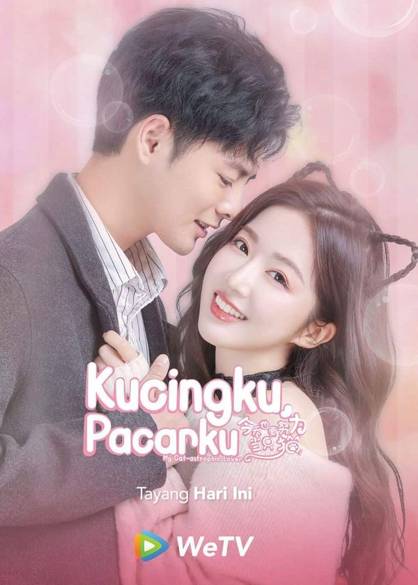 Bạn Gái Tôi Là Một Chú Mèo