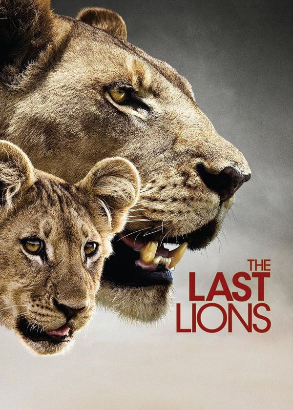 Bầy Sư Tử Cuối Cùng