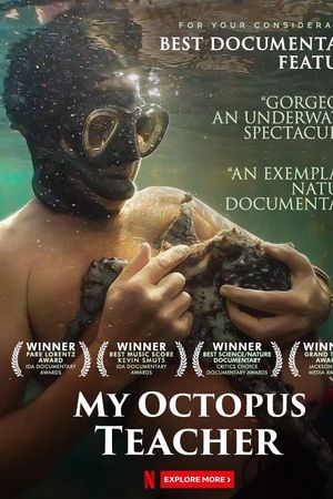 Cô Giáo Bạch Tuộc