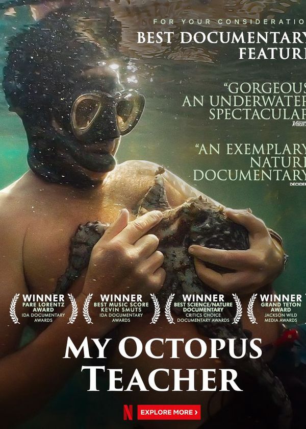 Cô Giáo Bạch Tuộc