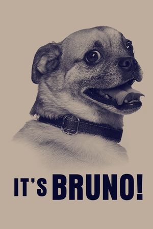 Chú chó Bruno
