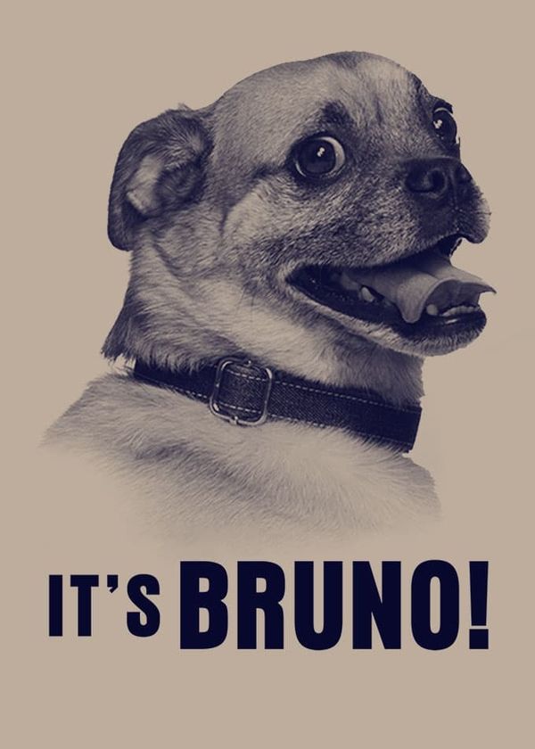 Chú chó Bruno