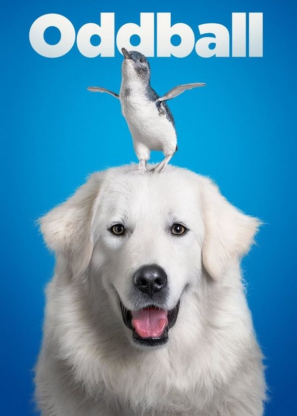 Chú Chó OddBall