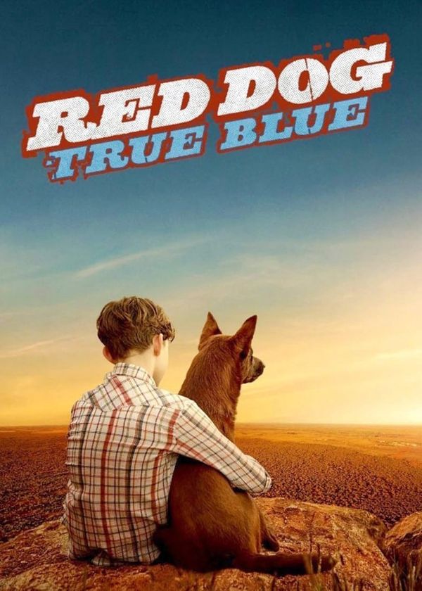 Chú Chó Trung Thành 2