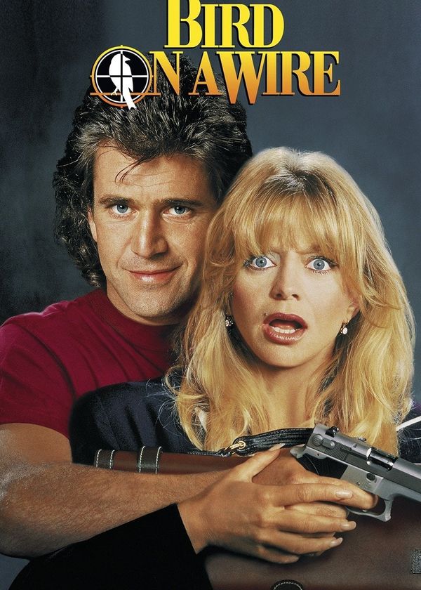 Chú chim trên dây