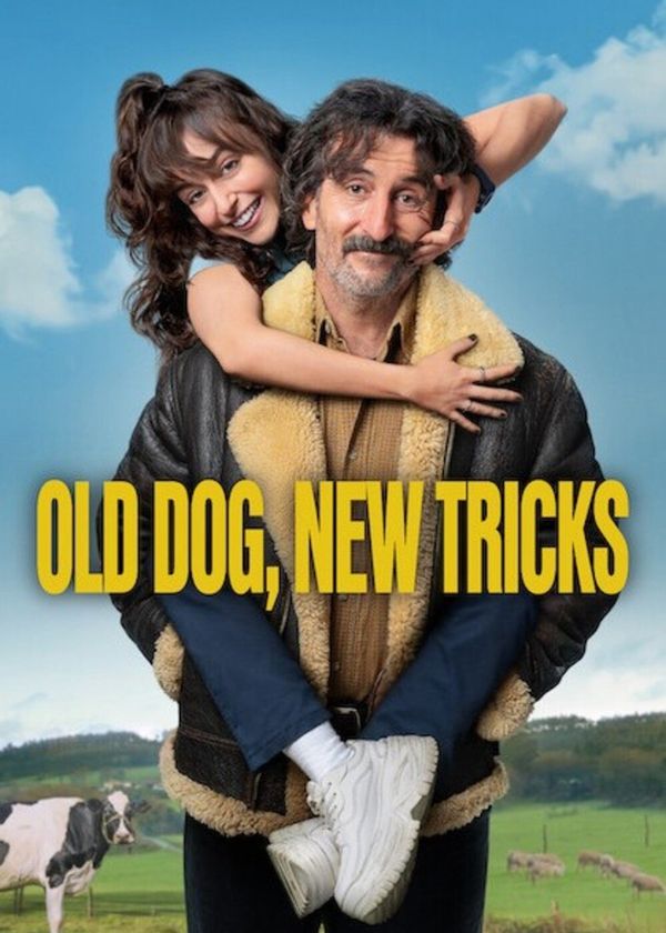 Chó già, trò mới