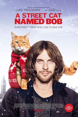 Chú Mèo Đường Phố