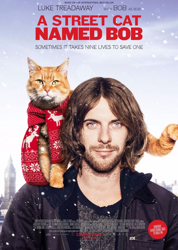 Chú Mèo Đường Phố