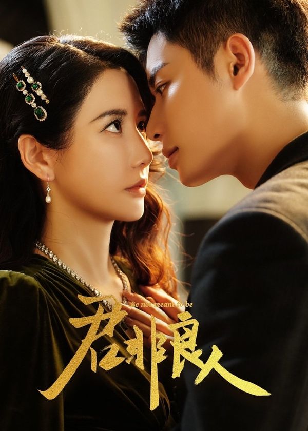 Chàng Không Phải Người Tốt (Quân Phi Lương Nhân)