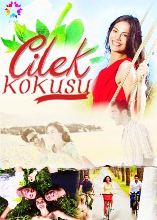 Cilek Kokusu