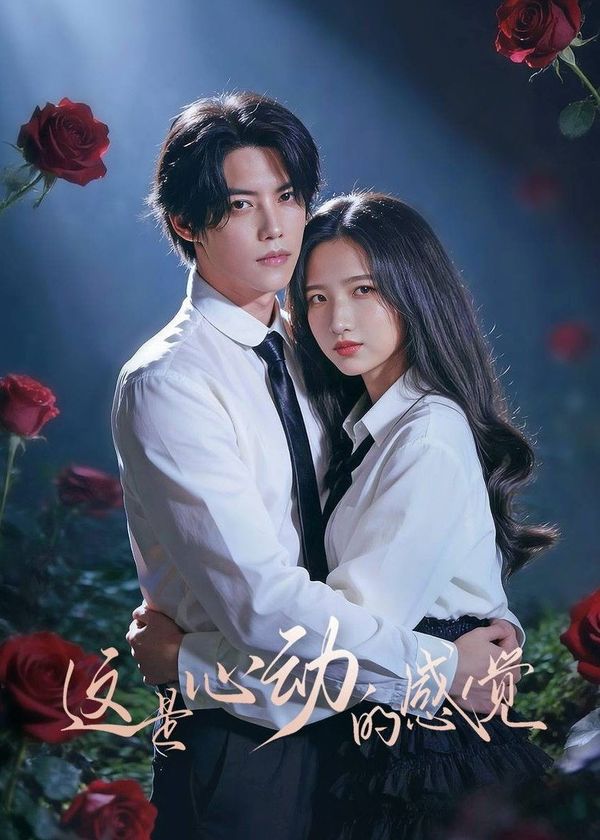 Cảm Giác Khi Rung Động Là Đây