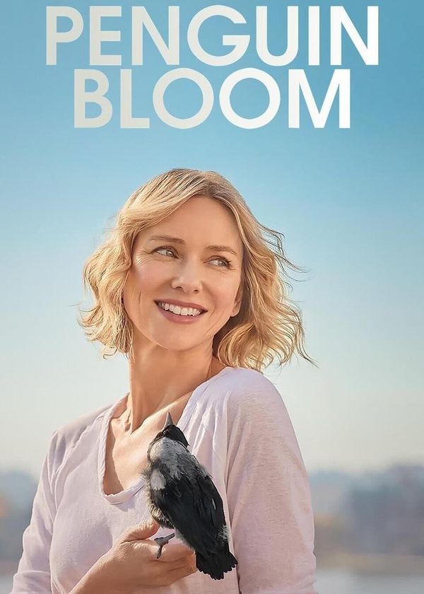 Cánh Cụt Nhà Bloom