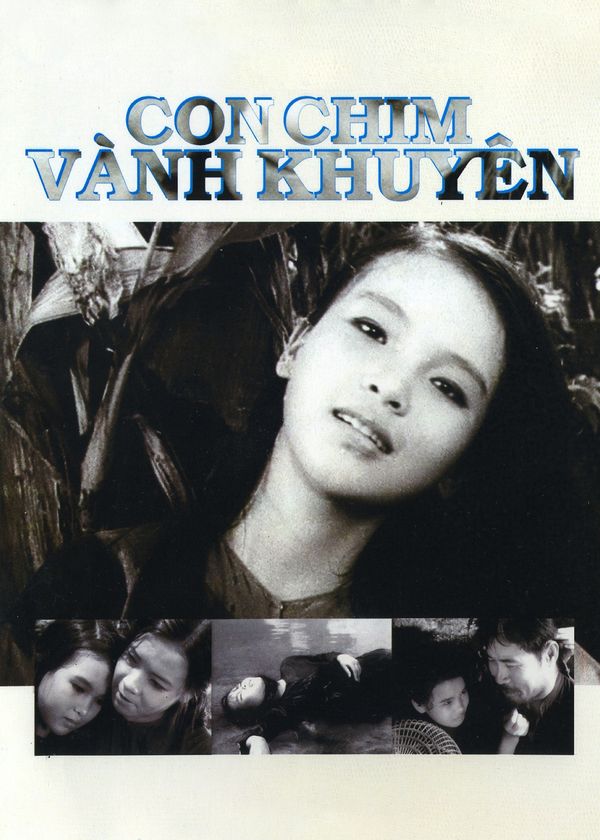 Con Chim Vành Khuyên