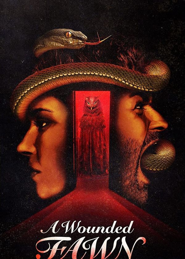 Con Nai Bị Thương