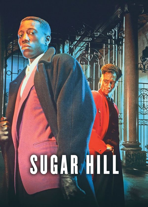 Con Đường Ma Túy