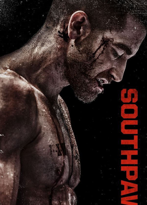 Con Đường Võ Sĩ