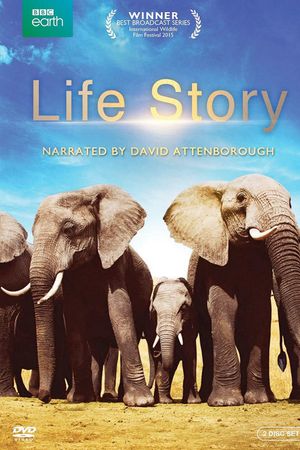 Câu Chuyện Cuộc Sống