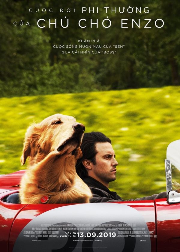 Cuộc Đời Phi Thường Của Chú Chó Enzo