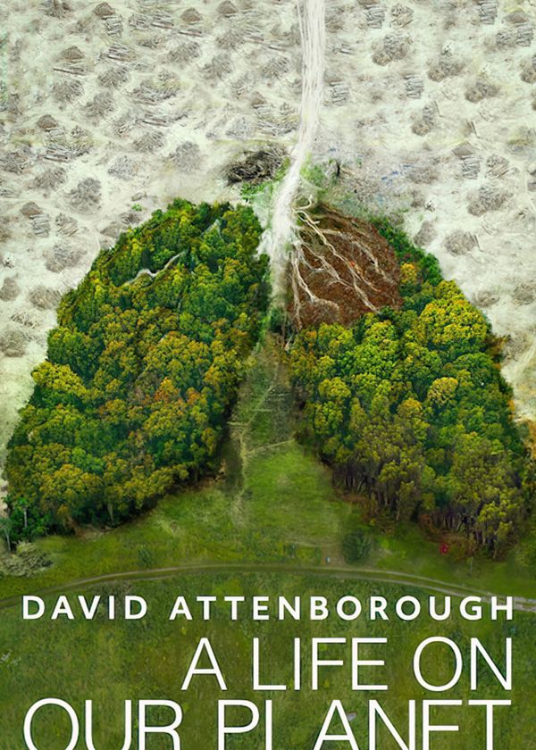 David Attenborough: Một Cuộc Đời Trên Trái Đất
