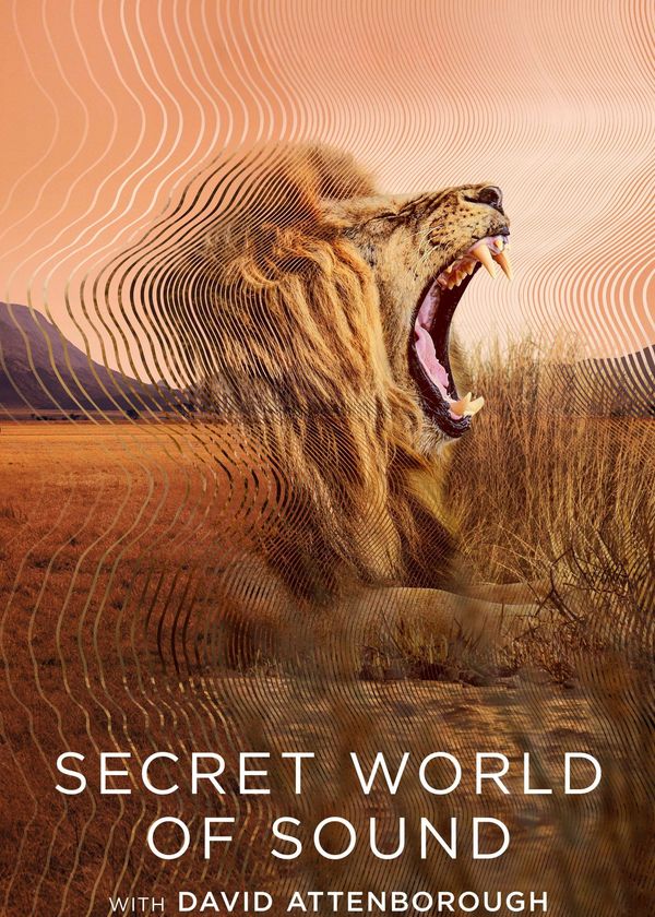 David Attenborough: Thế giới bí mật của âm thanh