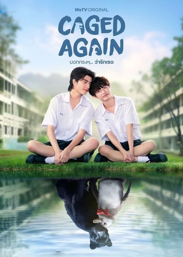 Dũng Cảm Nói Yêu Người