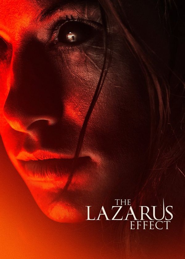 Hiệu Ứng Hồi Sinh