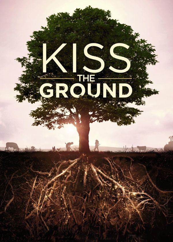 Hôn Lên Mạch Đất