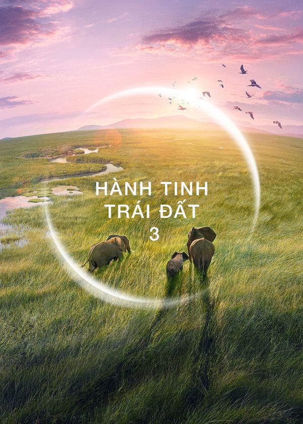 Hành Tinh Trái Đất 3