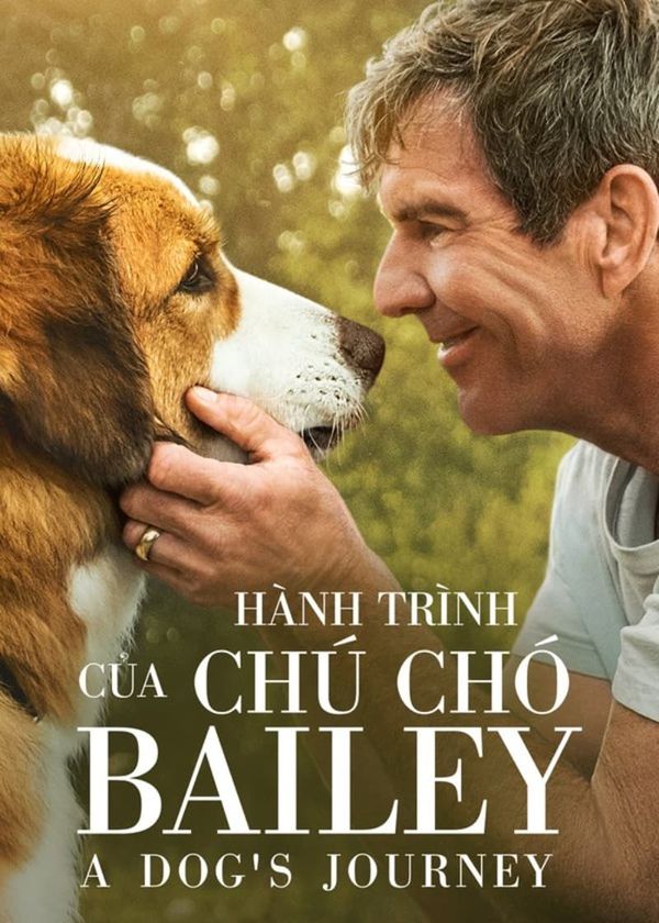Hành Trình Của Chú Chó Bailey
