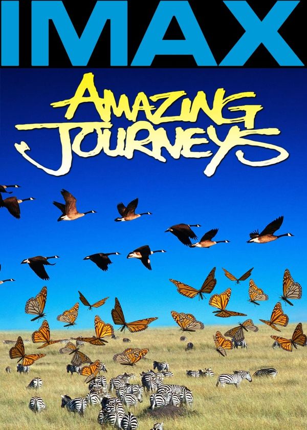 Hành Trình Kinh Ngạc