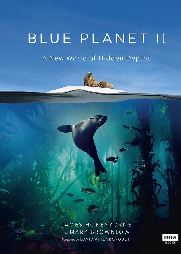 Đại Dương Sâu Thẳm 2