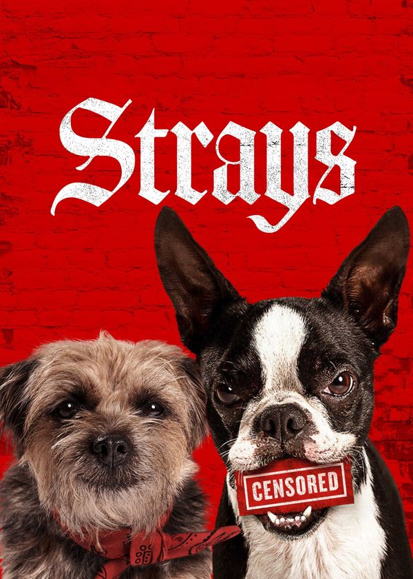 Đời Quá Chó (Những Chú Chó Bụi Đời)