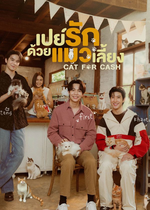 Đổi Tình Lấy Mèo