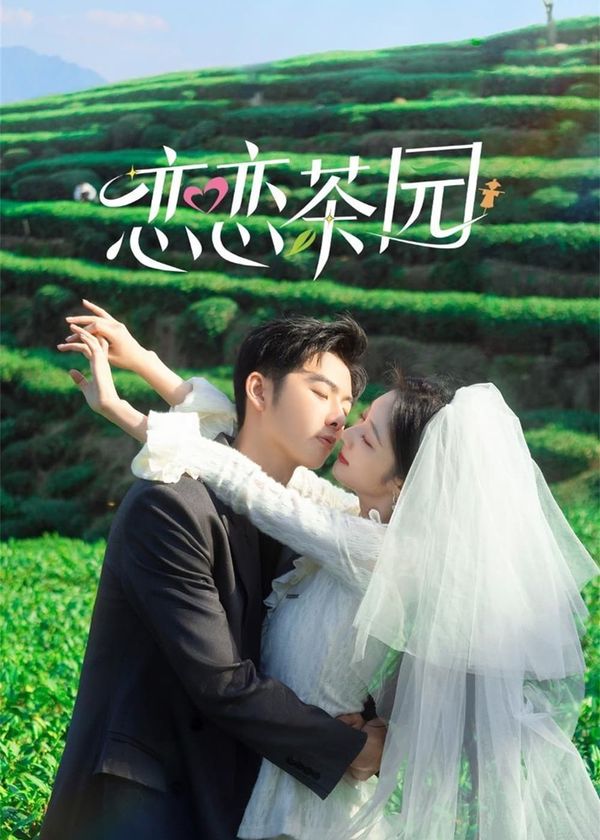 Đồi Trà Tình Yêu