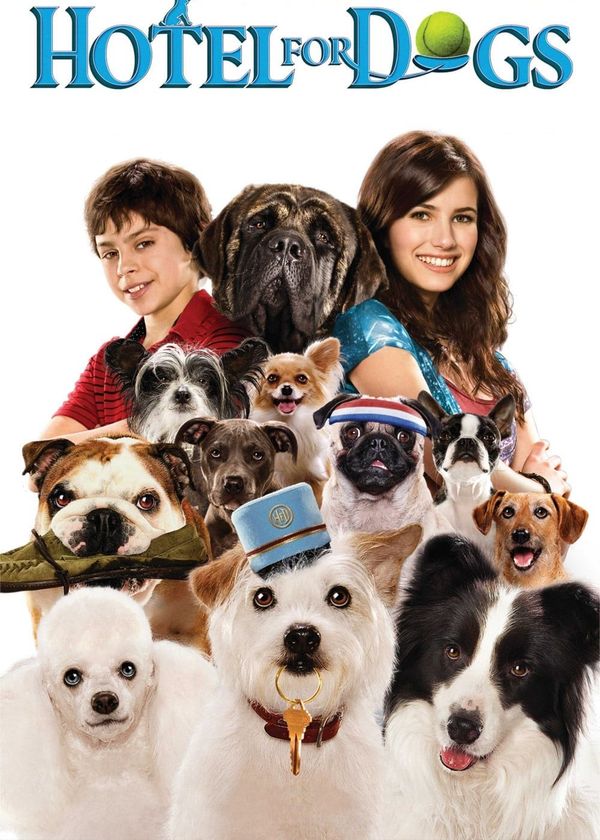 Khách Sạn Cún Cưng