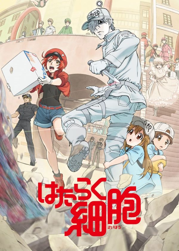 Khi Các Tế Bào Làm Việc (Phần 2)