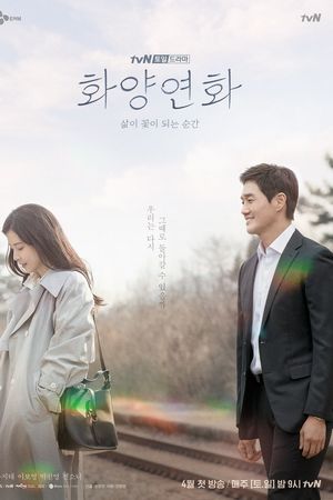 Khi Tình Yêu Nở Rộ