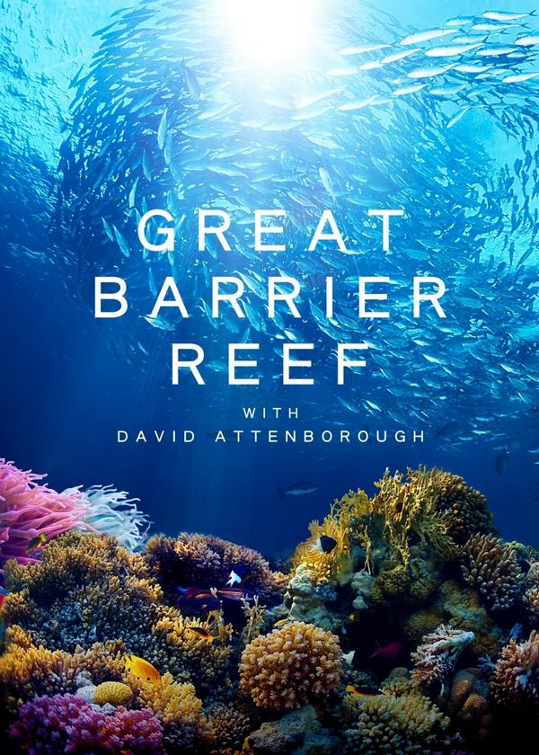Khám Phá Rạn San Hô Great Barrier cùng David Attenborough