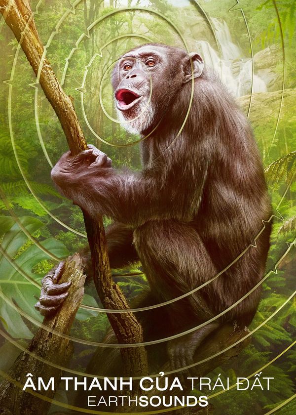 Âm Thanh Của Trái Đất - Earthsounds