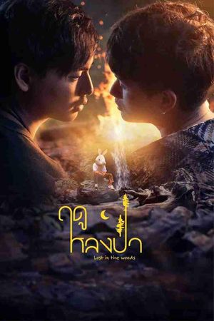 Mùa Lạc Trong Rừng