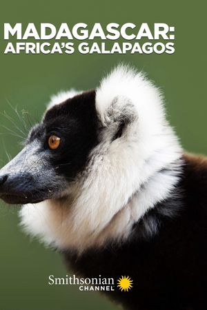 Madagascar: Africa's Galapagos