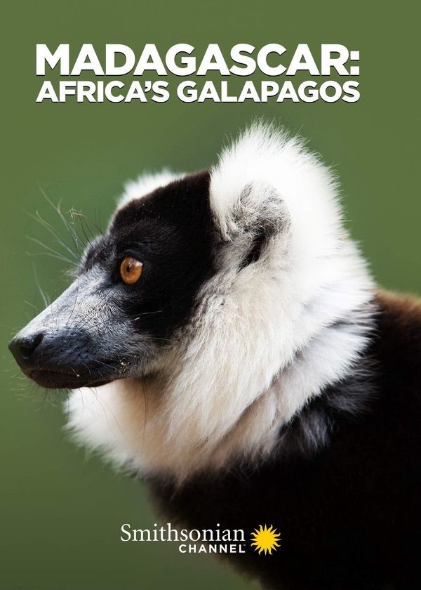 Madagascar: Africa's Galapagos