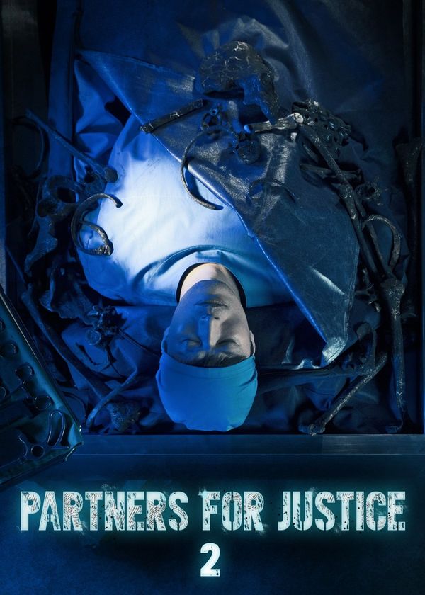 Nữ Công Tố Viên (Phần 2)