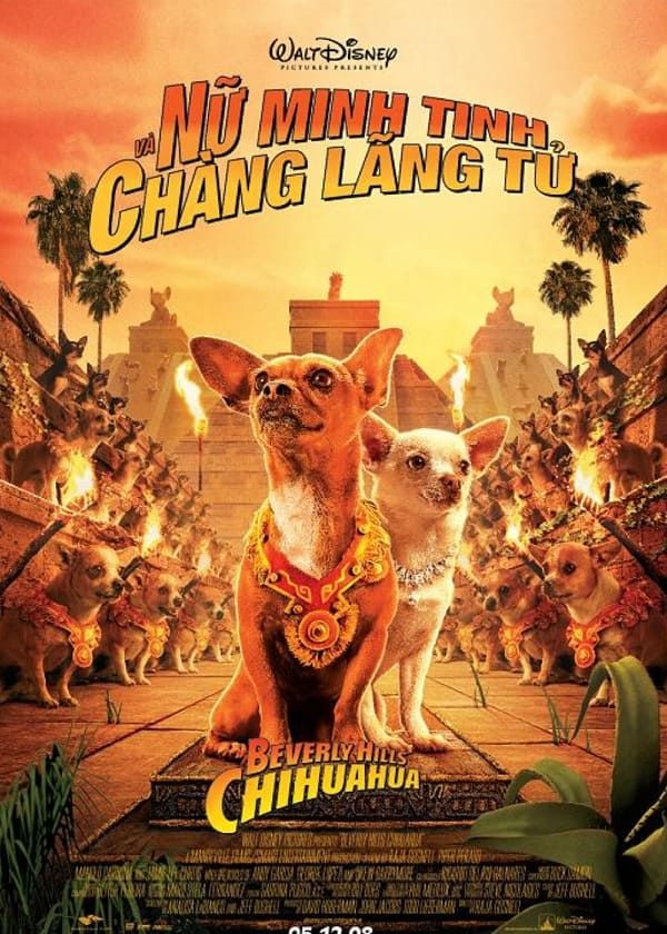 Nữ Minh Tinh và Chàng Lãng Tử